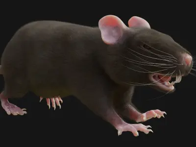 RET FOR VFX CGI 3D model