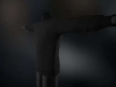Black Winter Turtleneck Low-poly 3D model