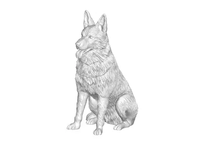 Dog - 3D model 9