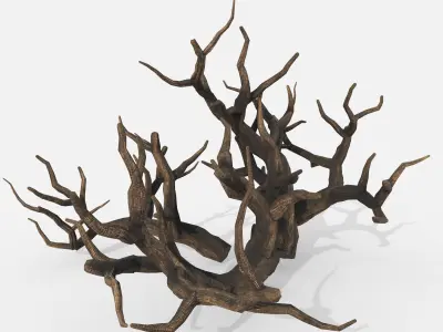 Aquarium Snag Banches V1 3D model