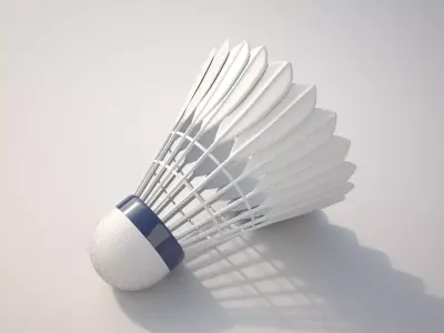 Badminton Ball 3D model