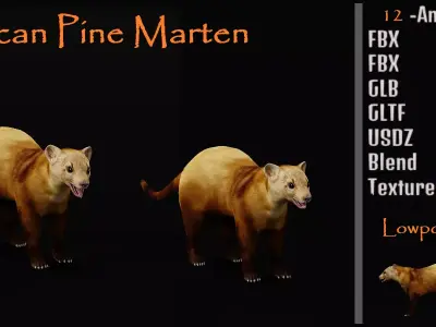 American Pine Marten Low-poly 3D model
