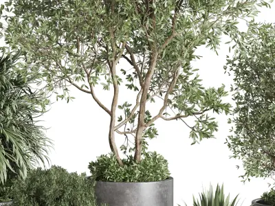 outdoor plant set 160 pot old tree bush palm in Low-poly 3D model