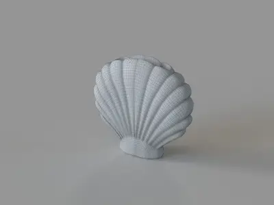 Shell Vase 3D model