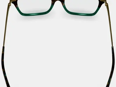 Vela Eyeglasses in Aventurine Tortoise with Polished Gold 3D model
