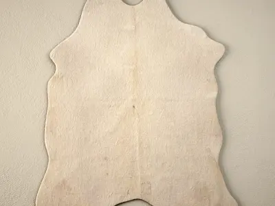 Cowhide Rugs 3D model