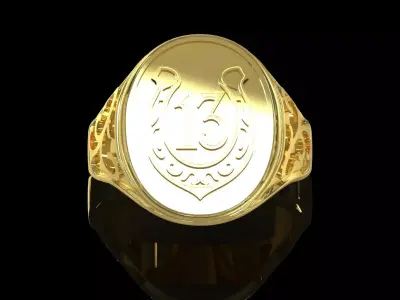 Men stl 3dm Ring Cavalry Signet with Symbol 13 model mr0290 3D print model