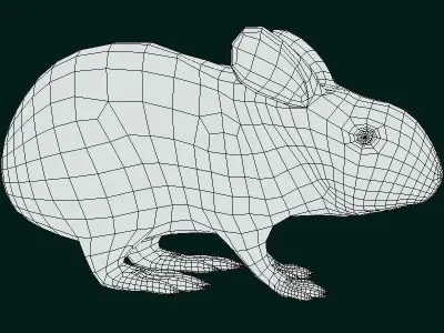 Lower Keys Marsh Rabbit Low-poly 3D model