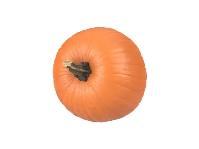 Photorealistic Pumpkin 3D Scan 3D model