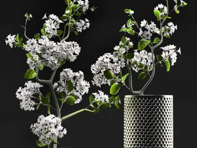 Flower Vase Set 3D model