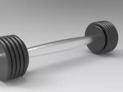 Adjustable Dumbbells 3D print model