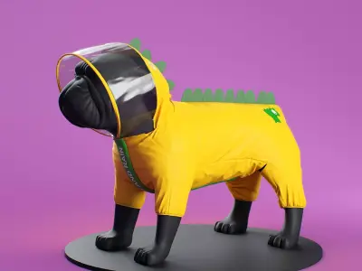 Mondog pet outfitters raincoat model 3D model
