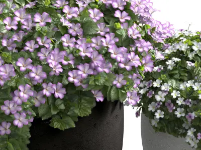 Flowerbed in a garden pot Flowers Garden Plant Patio   3D model