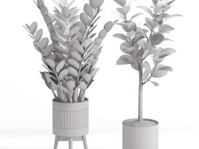 Houseplant 29  3D model