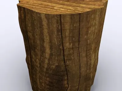 Tree Stump 3D Model 3D model
