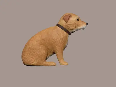 small Irish terrier 3D model