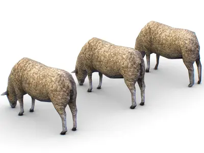 Low Poly Farm Sheep Low-poly 3D model