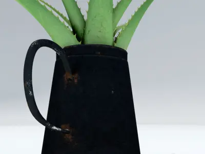 Coffeepot with Aloe Vera plant 3D model