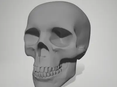 Skull 12 3D print model