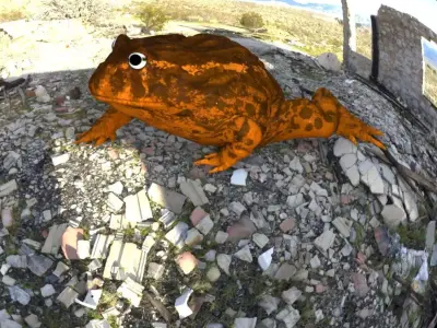 frog nature amphibian 3D model