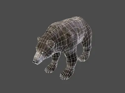 Next Gen AAA Black Grizzly Bear - game model Low-poly 3D model