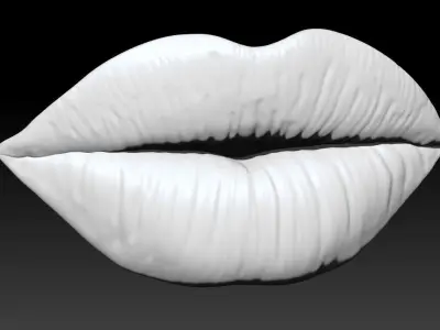 LIPS PUCKER DETAILED 3D print model