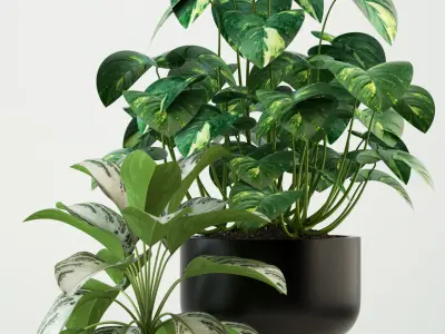 Plants collection 74 Modernica pots 3D model