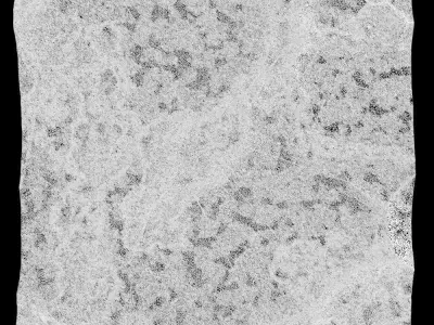 296-RockPanel piece of stone 3D model