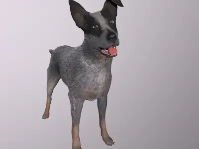 Cattle Dog Low-poly 3D model