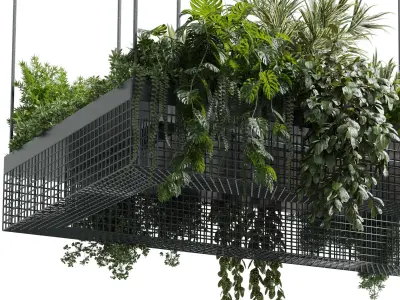 hanging plants - indoor plant set 447 Rectangle pendant pot 3D model