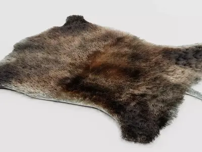 Boar Skin Rug - Realistic Animal Hide 3D model