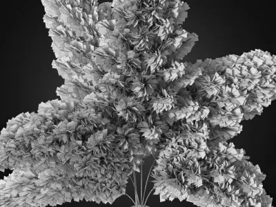 Bouquet of pink pampas 3D model