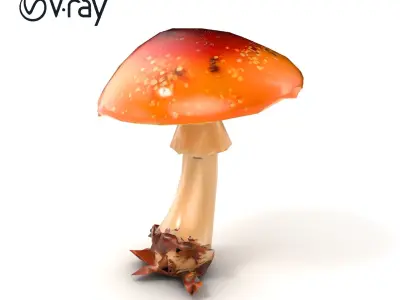 Chanterelle Mushroom Realistic Model Pack Low-poly 3D model