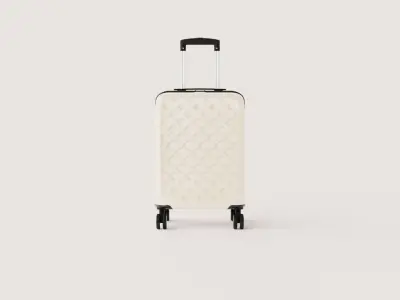 SUITCASE 42 and half CM Low-poly 3D model