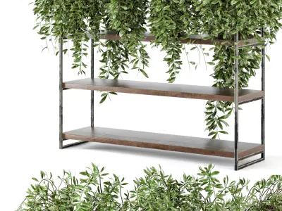 Indoor Plants in rusty Concrete Pot on Metal Shelf - Set 23  3D model