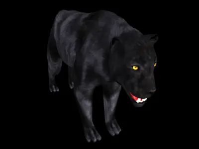 Panther 3D model Low-poly 3d model 3D model
