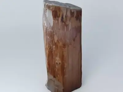 Jesus woodcarving Free 3D model
