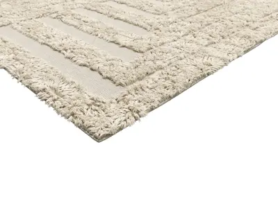 Wool Rug Maze shaggy for Fstorm render Free 3D model