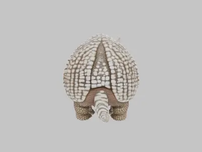 Low Poly Armadillo Low-poly 3D model