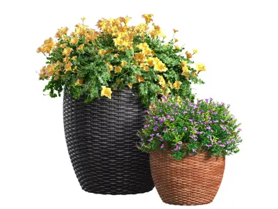 Flowerbed in a garden pot Flowers Garden Plant  3D model