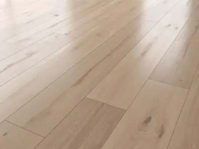 Wood floor Oak Vergne Brushed 3D model