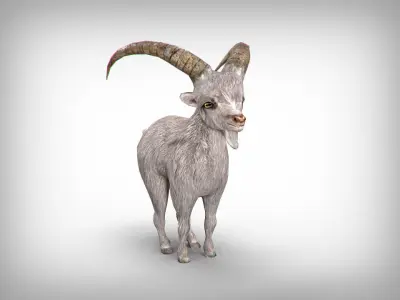 Goat low poly with long horns Low-poly 3D model