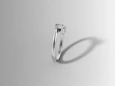 Gold Double Setting Diamond Ring 3D Printable Design 3D print model
