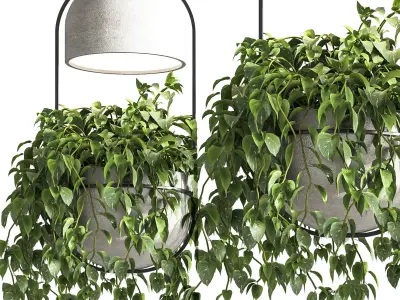 Indoor Plants Hanging Pot Concrete Vase 02 3D model