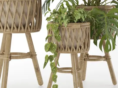 Plant-set-002 3D model