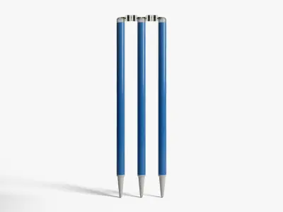 Modern Cricket Wickets 3D model