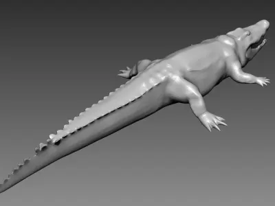 Crocodile base mesh for Zbrush 3D model
