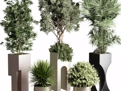 Indoor Plants in kristal - luxury of homes Pot 471 3D model