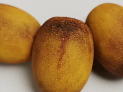 Golden Kiwi 3D model