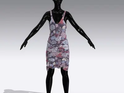 Woman Cloth Dress Low-poly 3D model buy